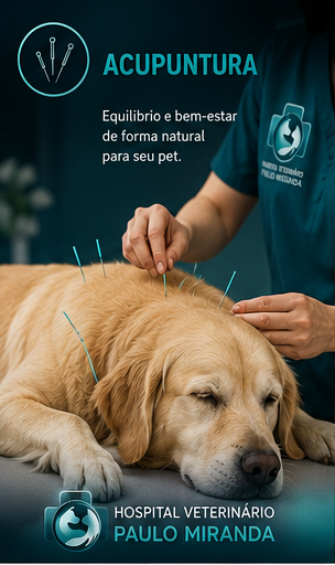Acupuntura