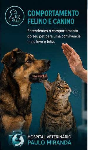 Comportamento