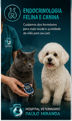 Endocrinologia