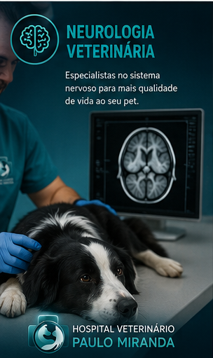 Neurologia